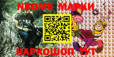 МДПВ Кингисепп