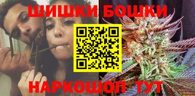 МДПВ Кингисепп