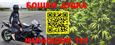 МДПВ Кингисепп