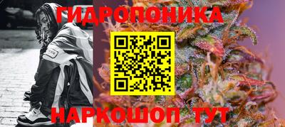 молекула духа Кинель