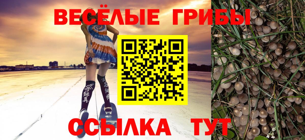 Коломна  Псилоцибиновые грибы мухоморы  Псилоцибиновые грибы Magic Shrooms  Вход с VPN 